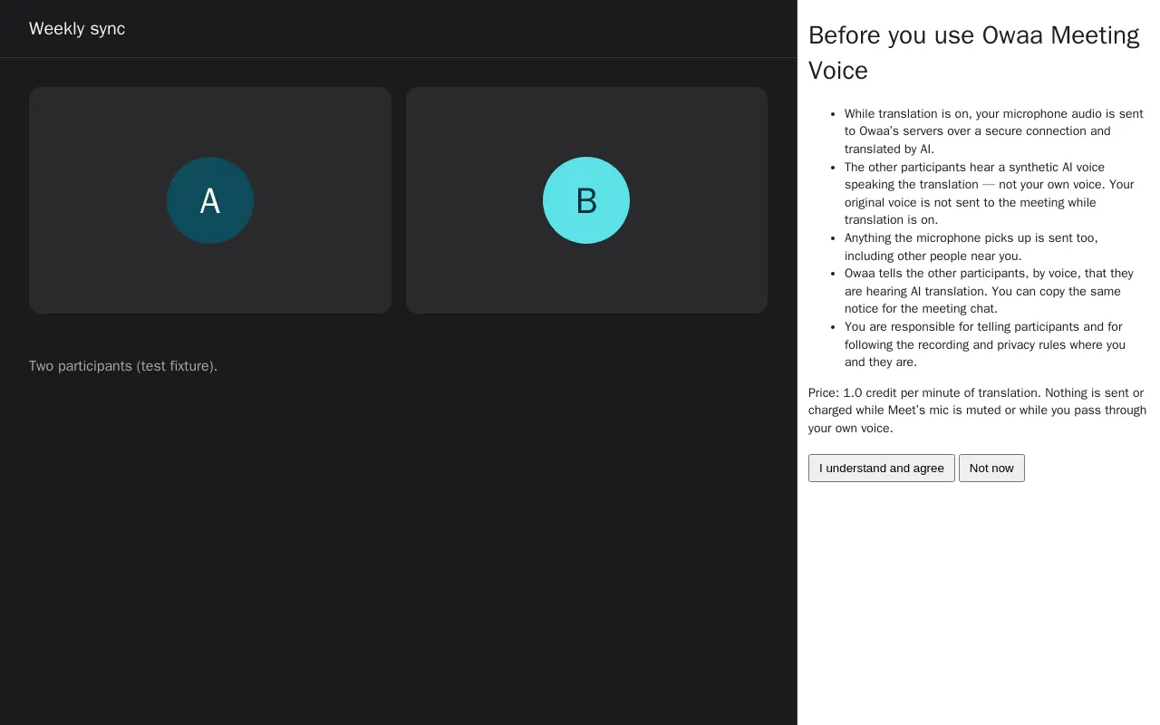 The consent screen: nothing is captured until you accept.